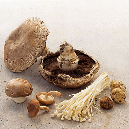 7 Ways With Mushrooms Intro