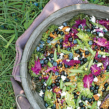 Blueberry-and-Kale Grain Salad 