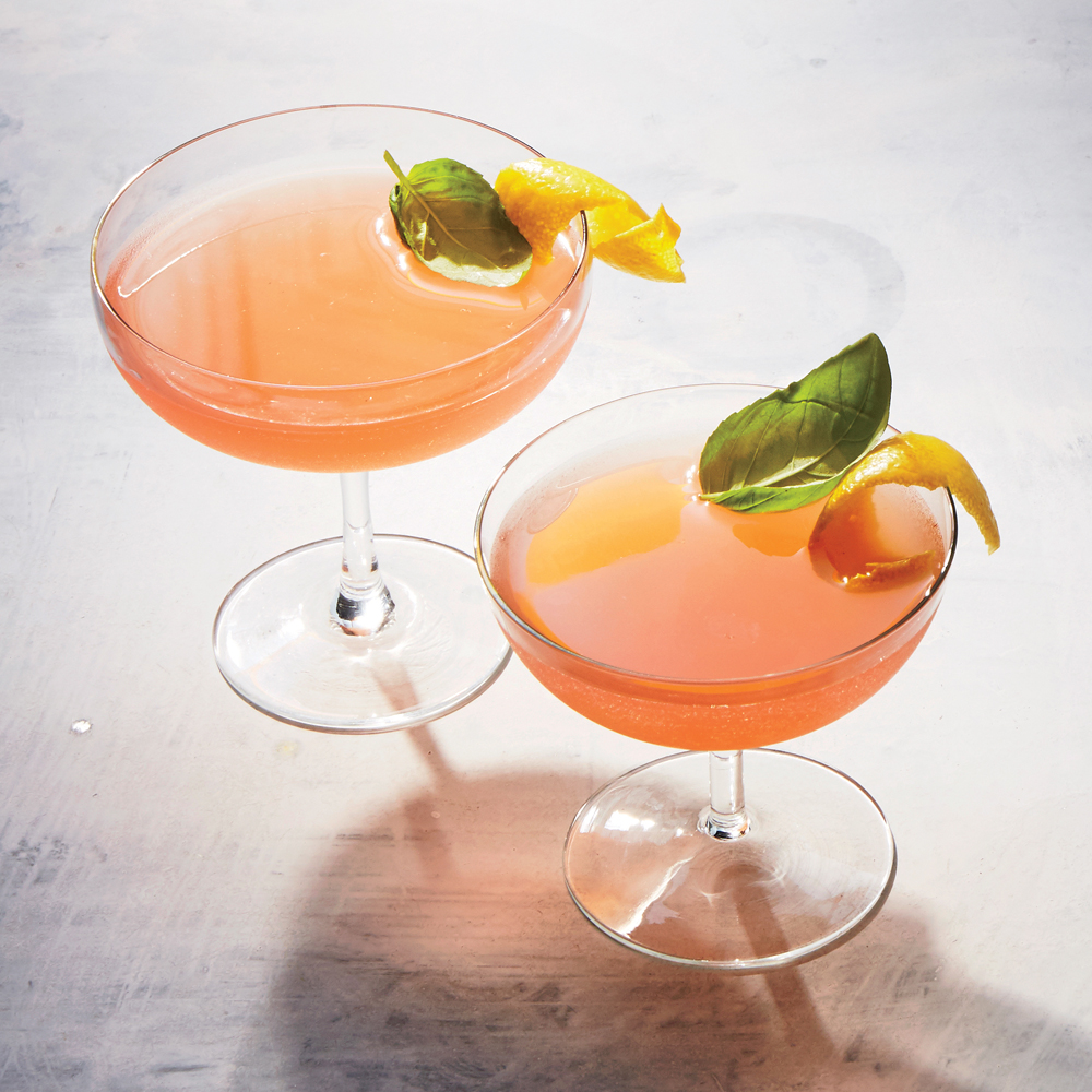Rhubarb-Basil Shrub Cocktails