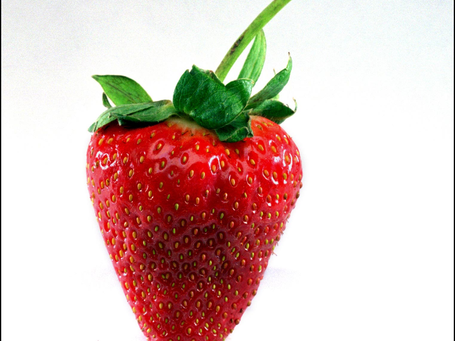 long stem strawberry