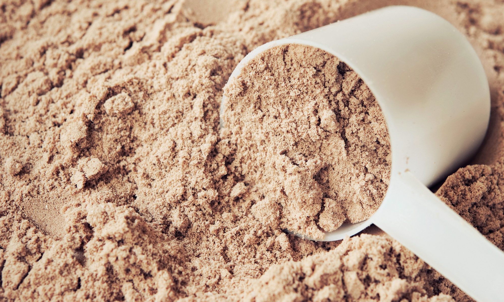 EC: What's Actually in Protein Powder?