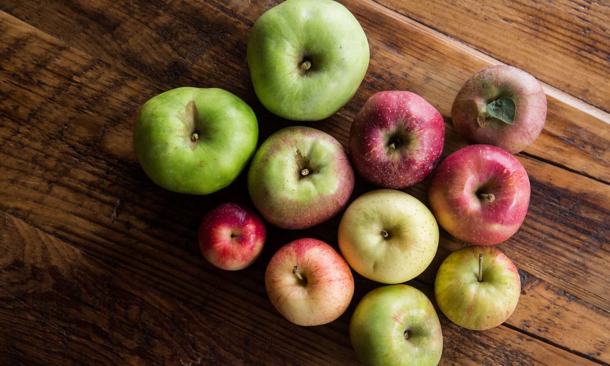 12 Apple Varieties You Should Know
