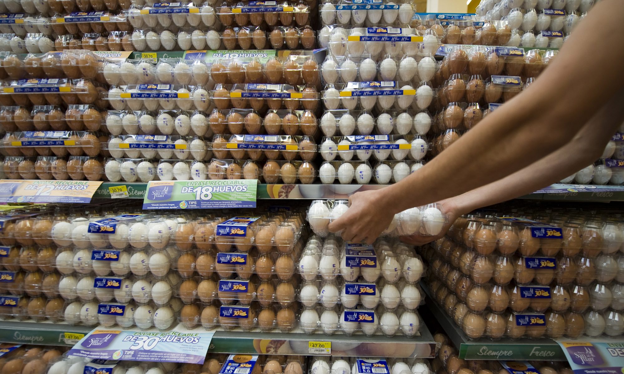 EC: Egg Prices Have Reached a 10-Year Low