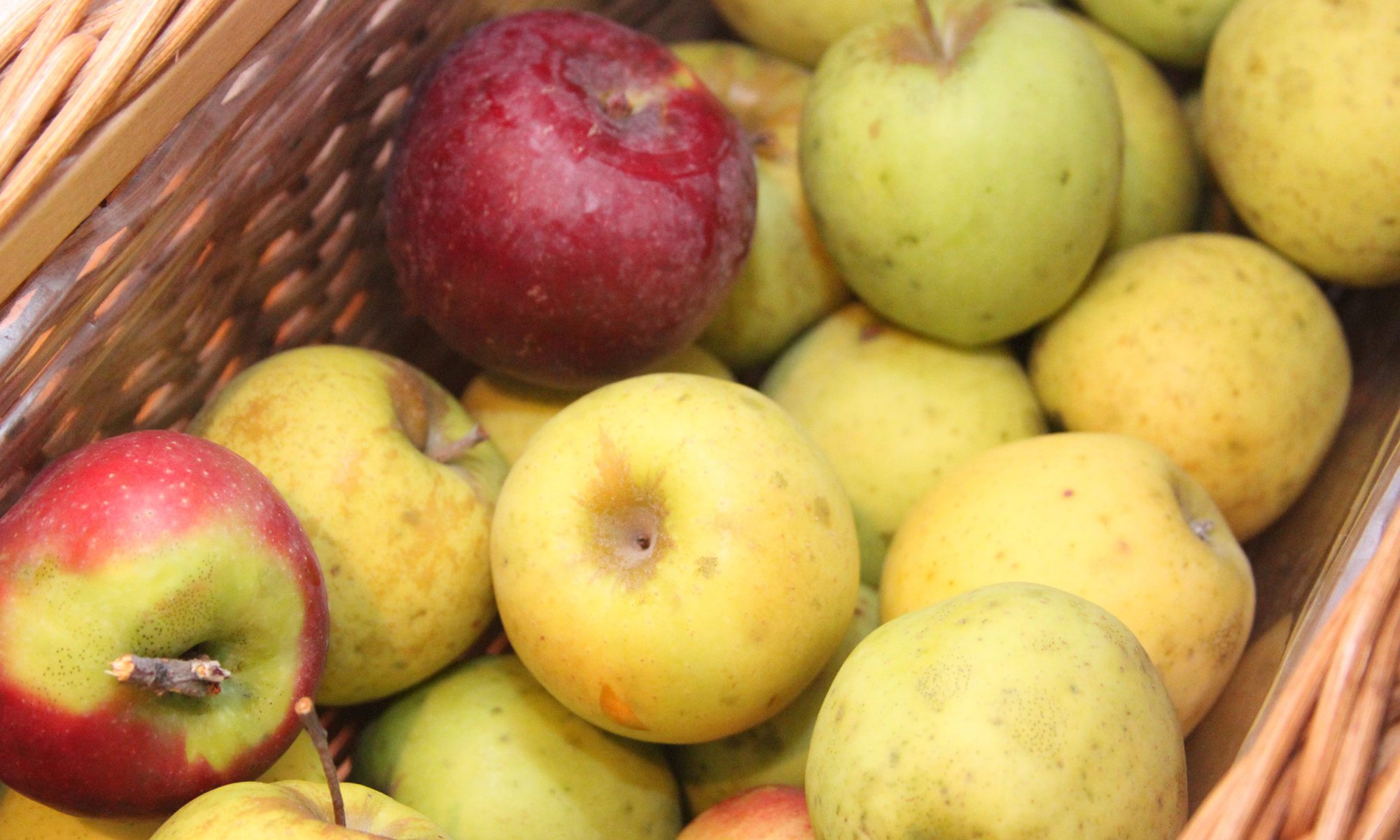 EC: Walmart Starts Selling Ugly Apples in Florida