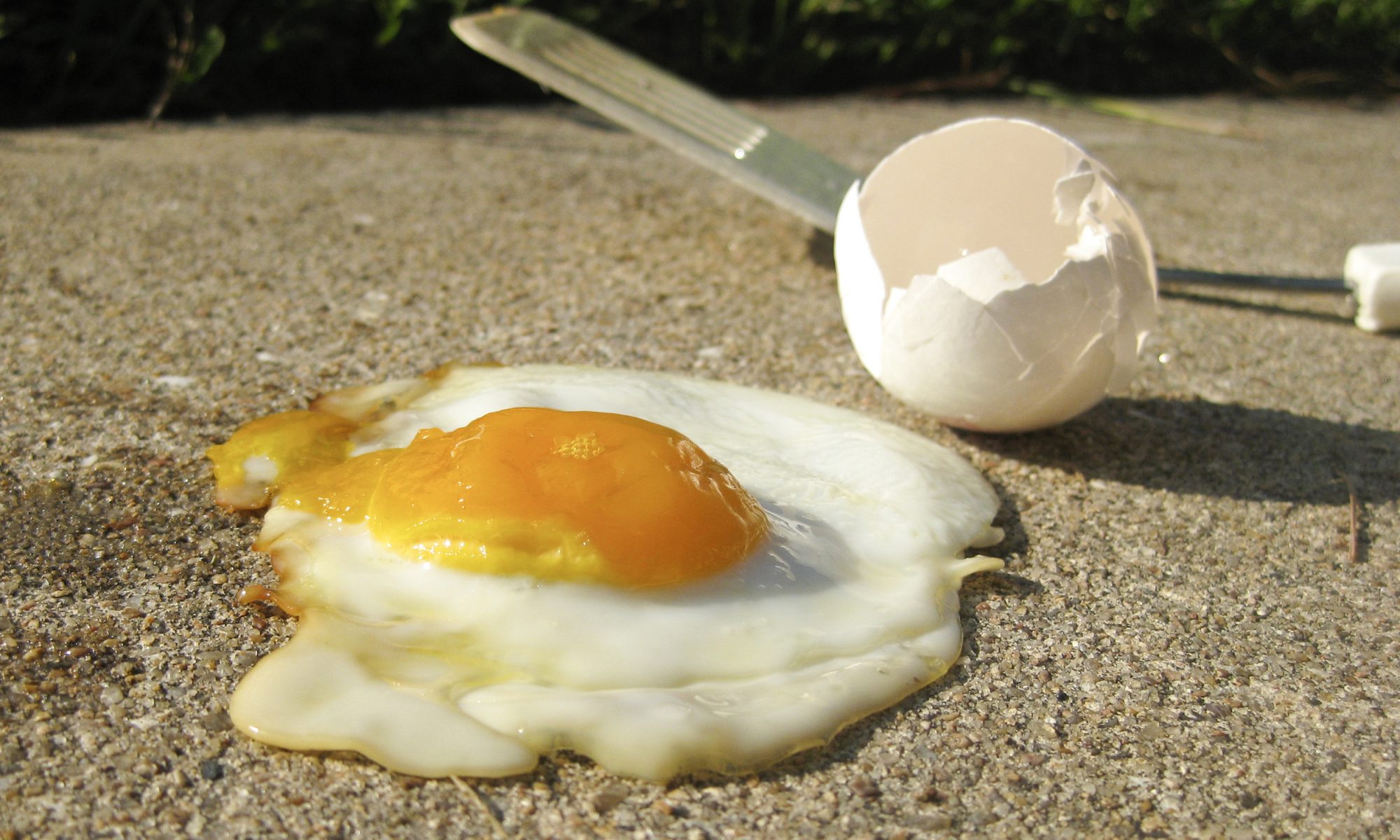 Fried egg on sidewalk