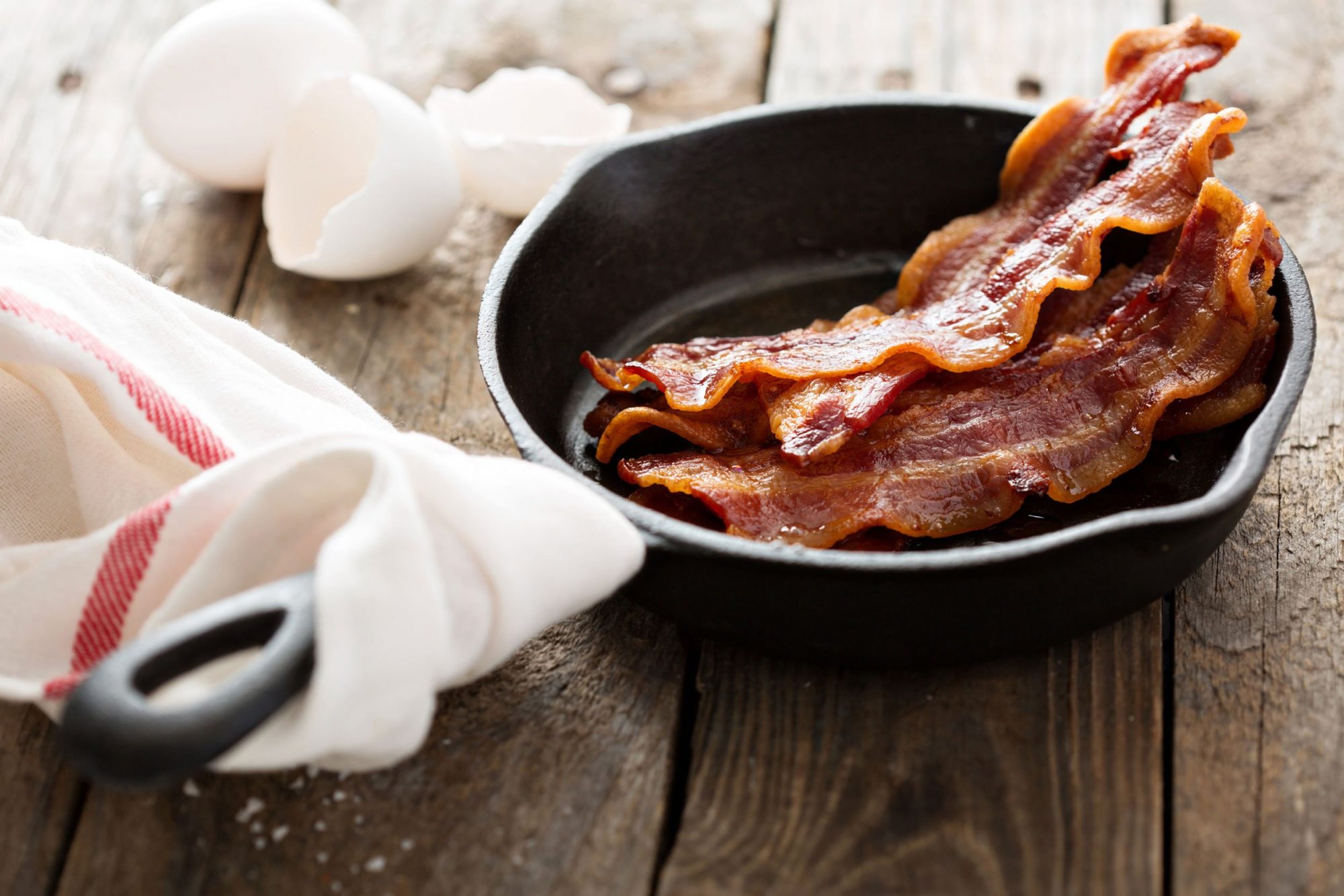 EC: Bacon Camp Is the Summer Camp of Your Dreams