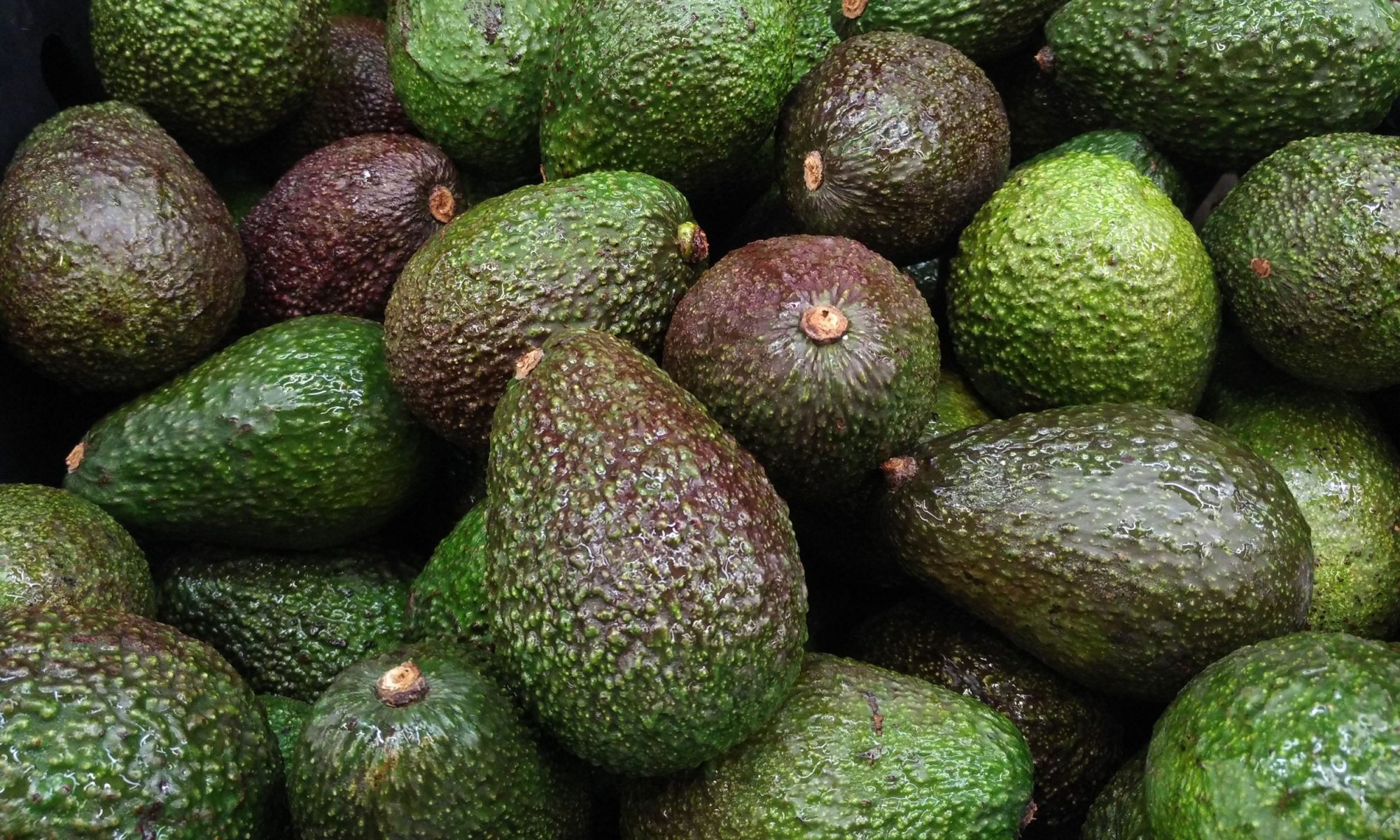 EC: &lsquo;Avocado Anxiety&rsquo; Officially a First-World Problem