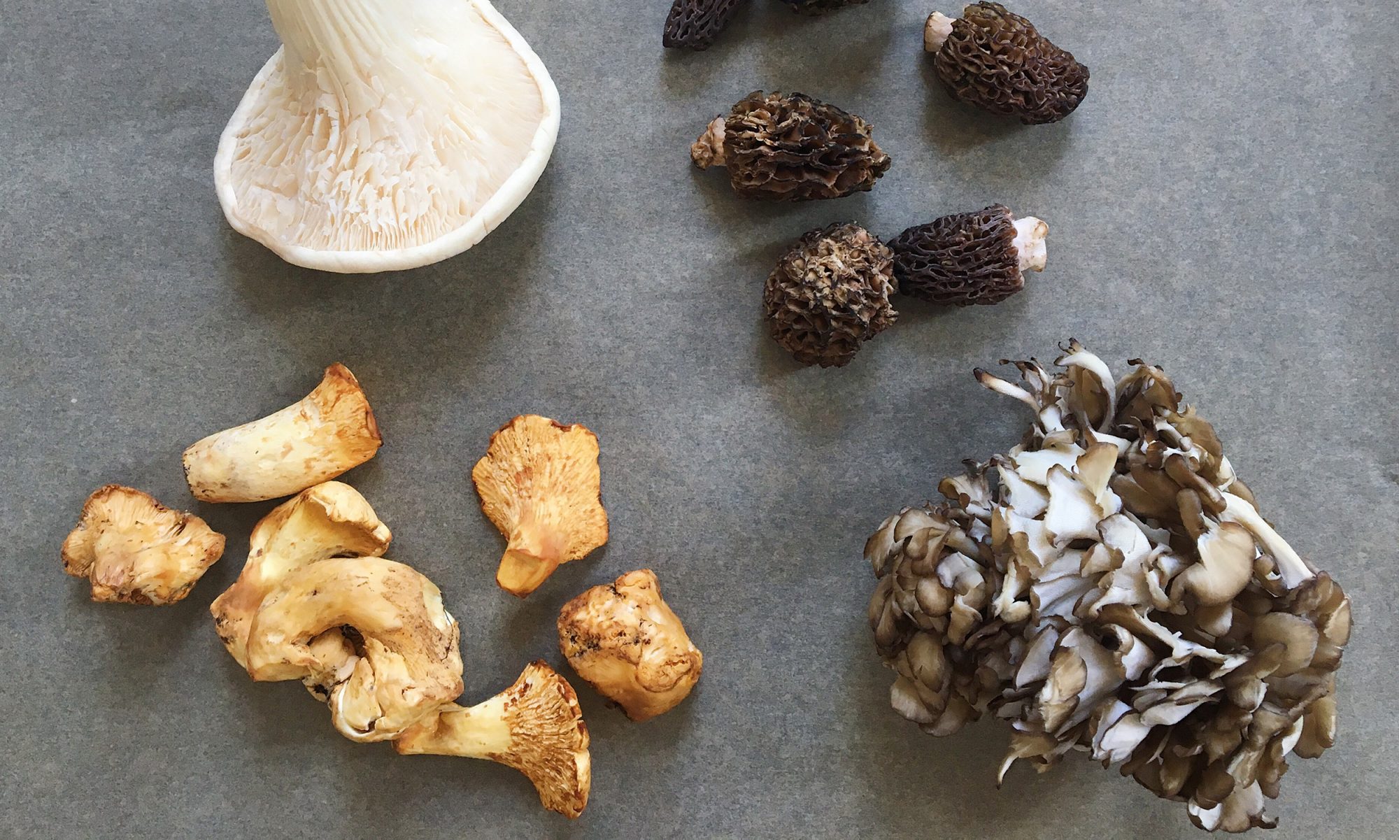 EC: Mushrooms: A Down and Dirty Guide to Buying, Cleaning, Storing, Prepping, and Cooking 
