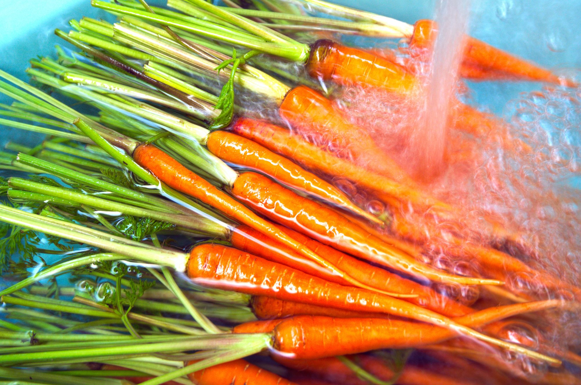 Carrots in Water