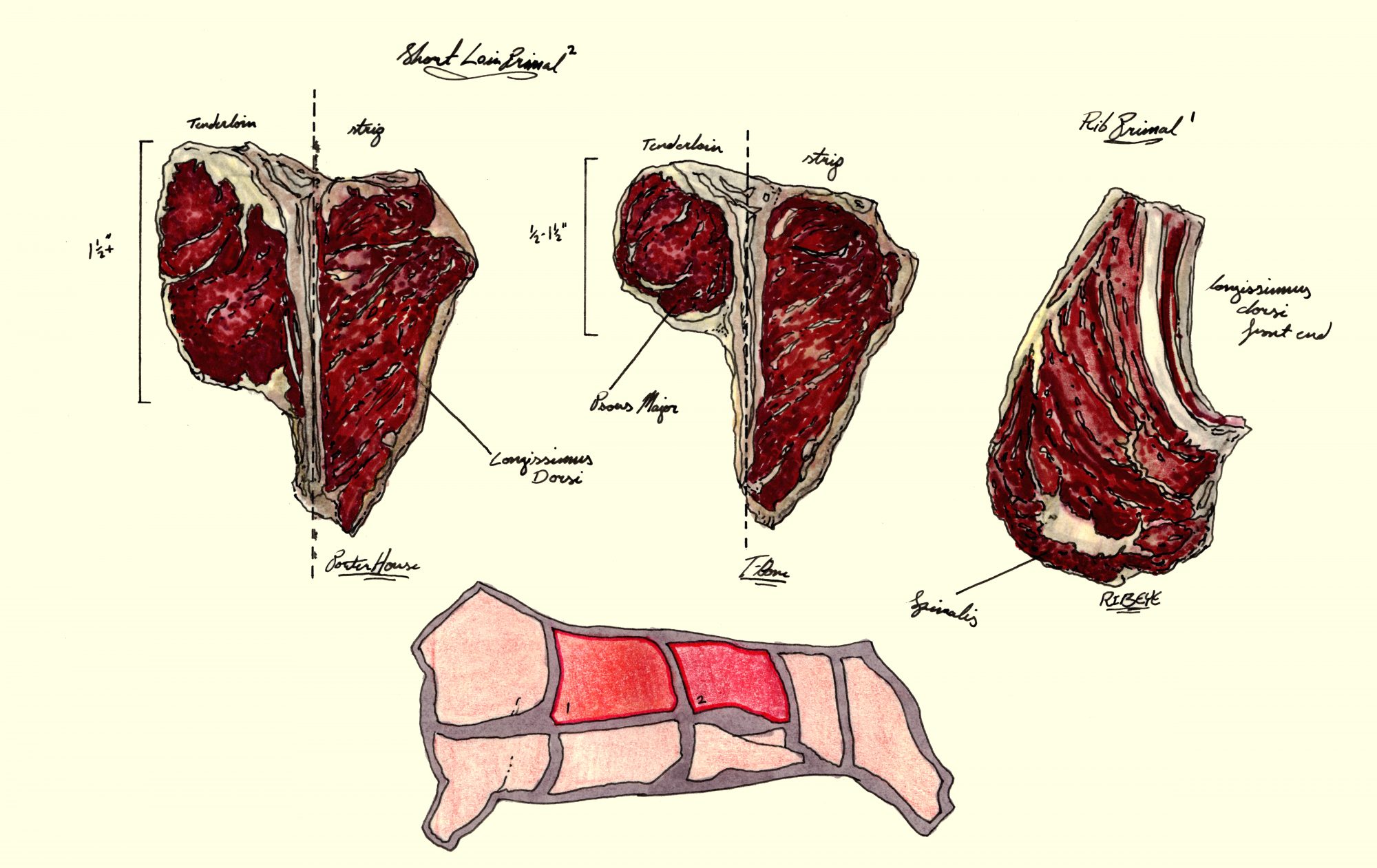 If You Follow One Chef on Instagram, This Chef-Turned-Illustrator Should Be It fw_steaks_-_william_brown