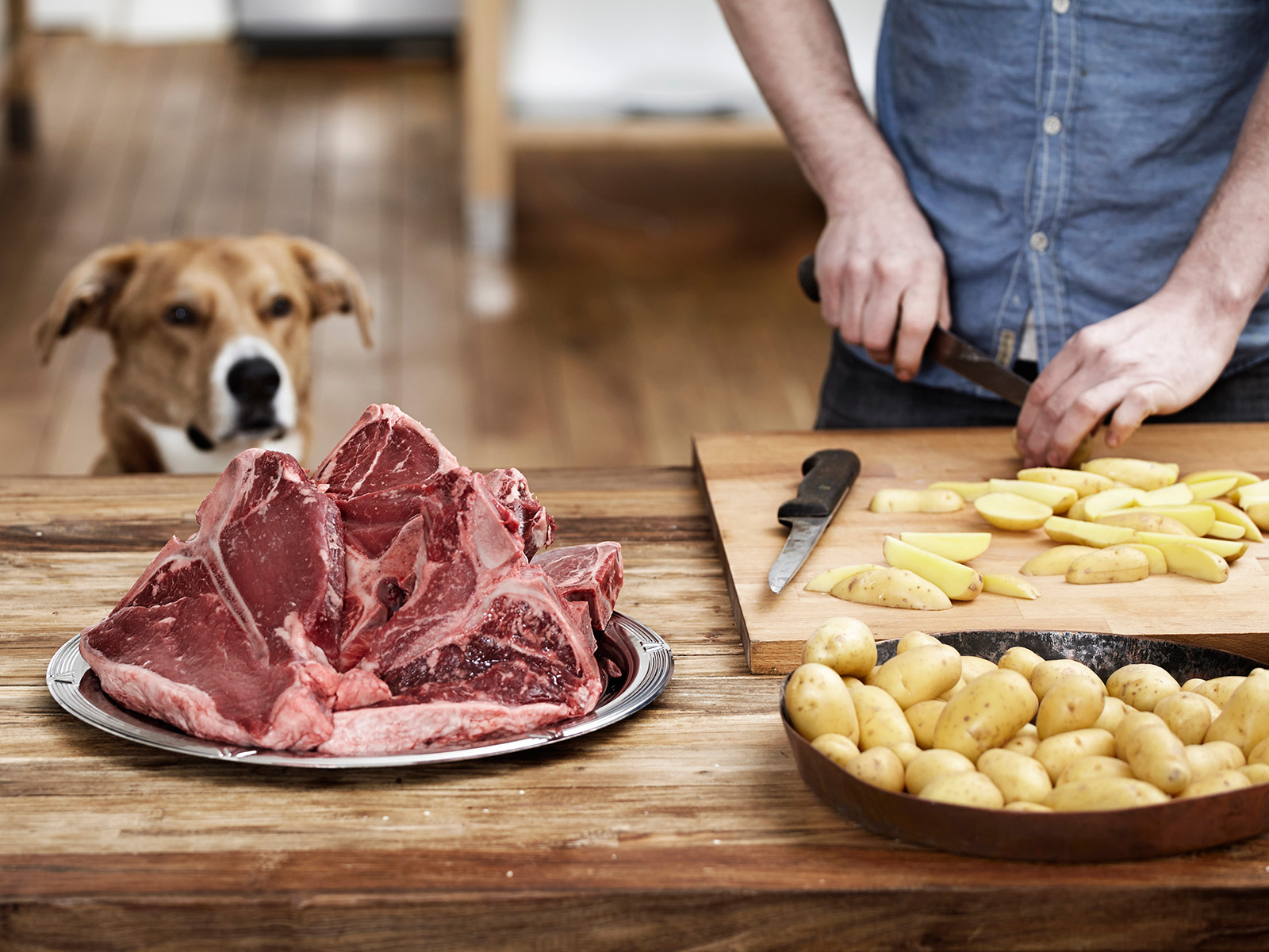 dog-looking-at-meat.jpg