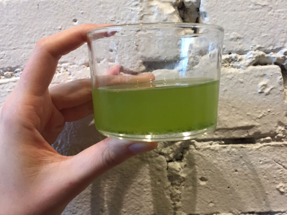 kouridashi-green-tea-first-pour.jpg