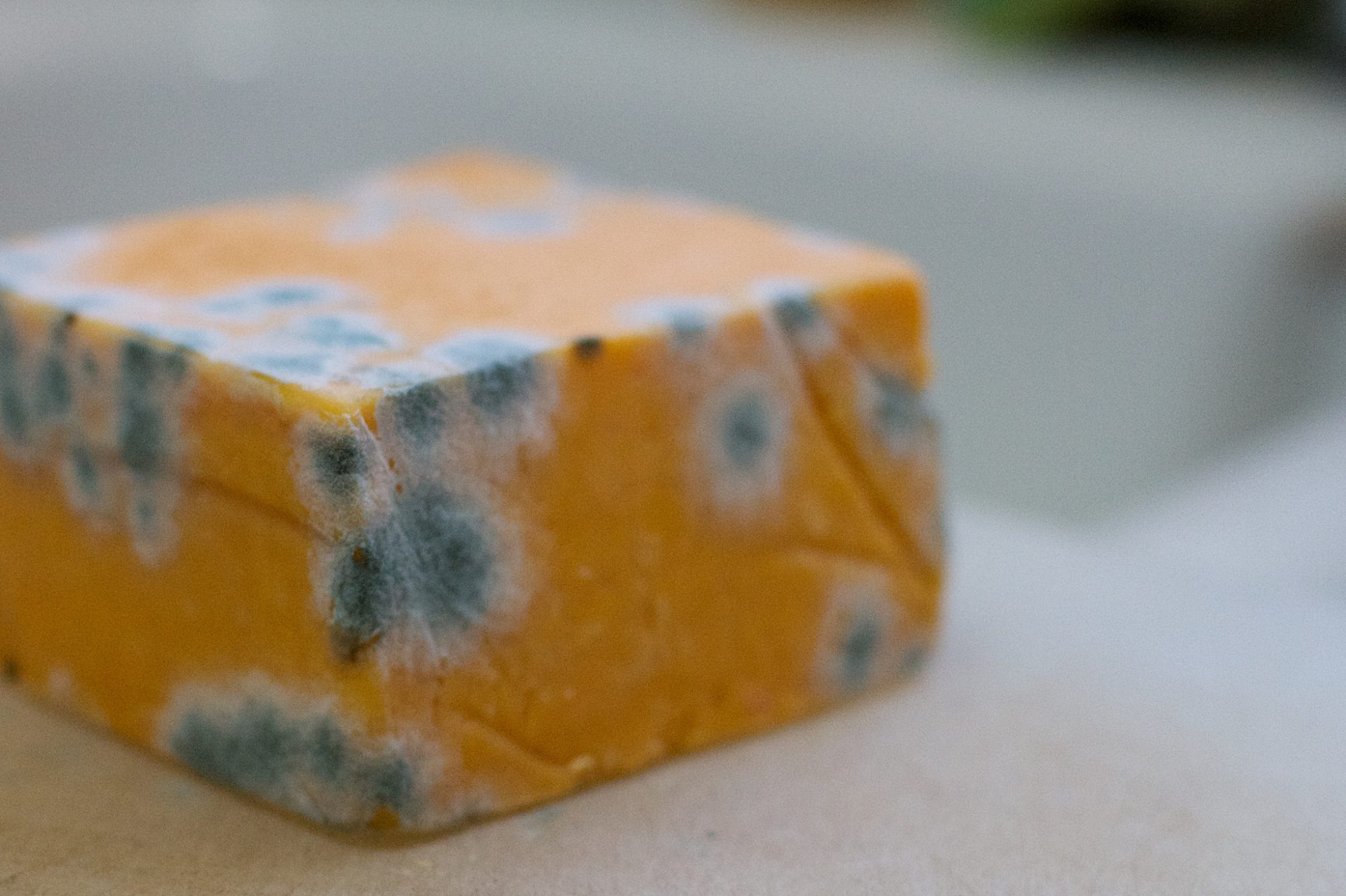 EC: Is Mold on Cheese Bad for You?