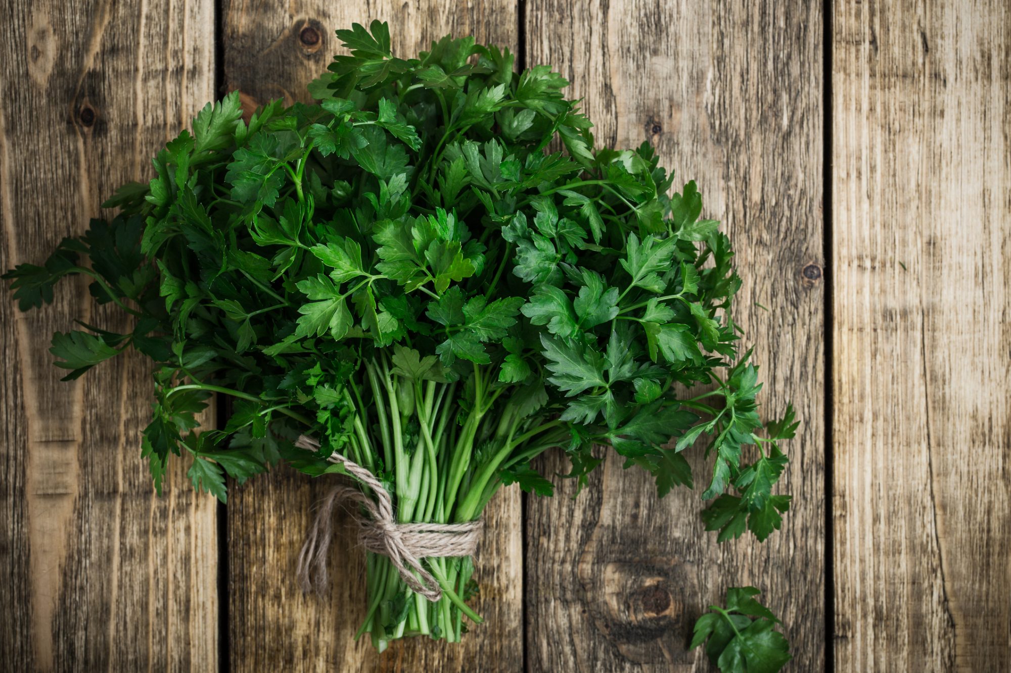 Fresh organic parsley over wooden background viewed from above