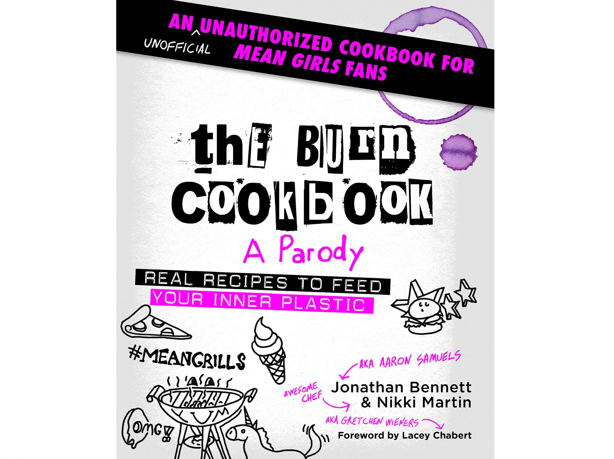 the burn cookbook.jpg