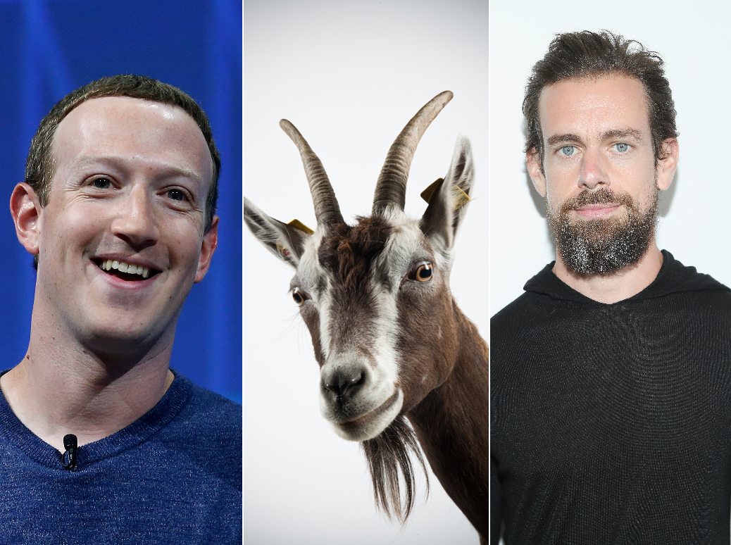 Mark Zuckerberg Killed a Goat with a Laser Gun and Fed it to Twitter&rsquo;s CEO