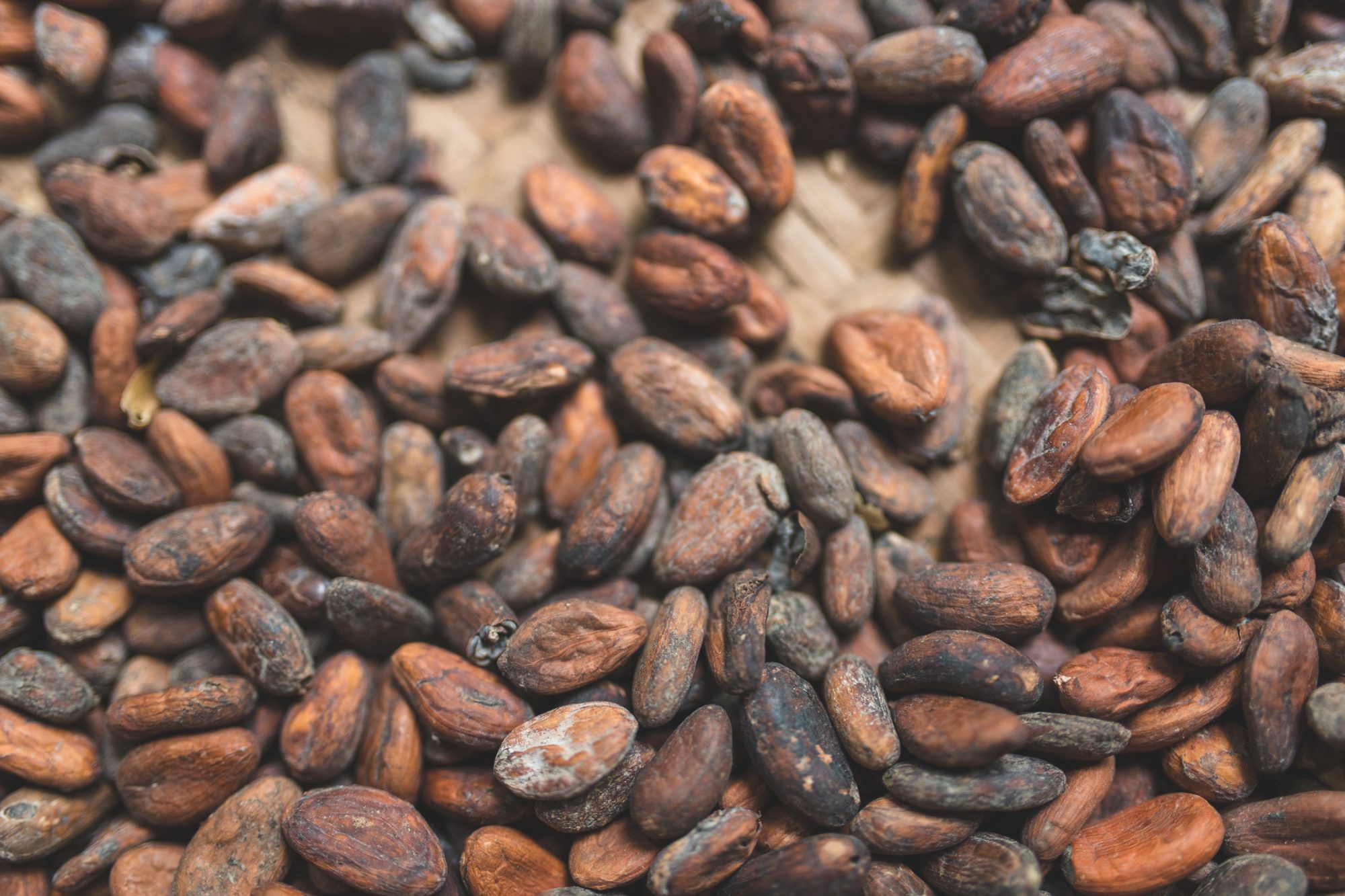 Getty Cocoa Beans 8/8/19
