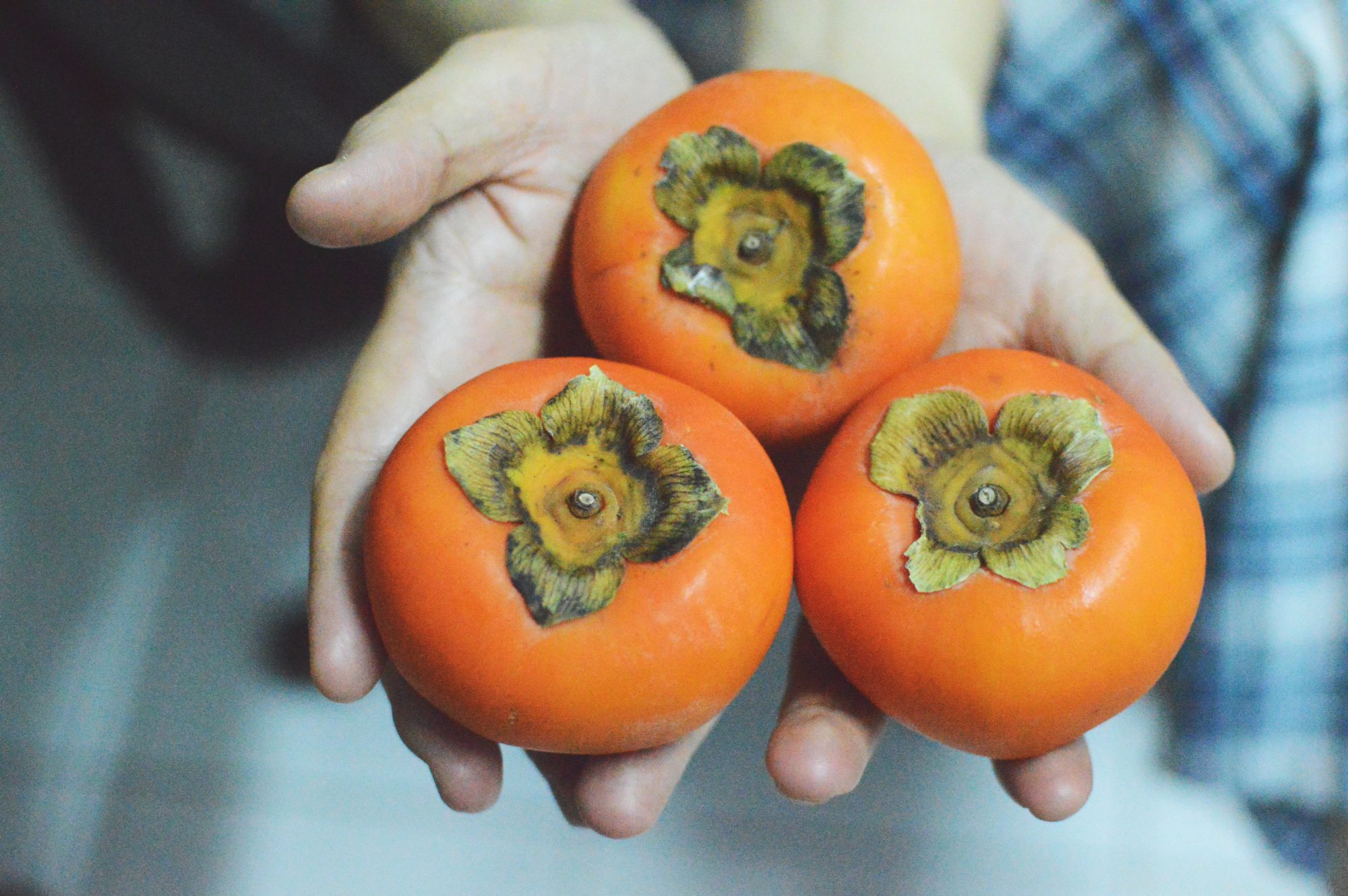What Is a Persimmon and What Does It Taste Like?