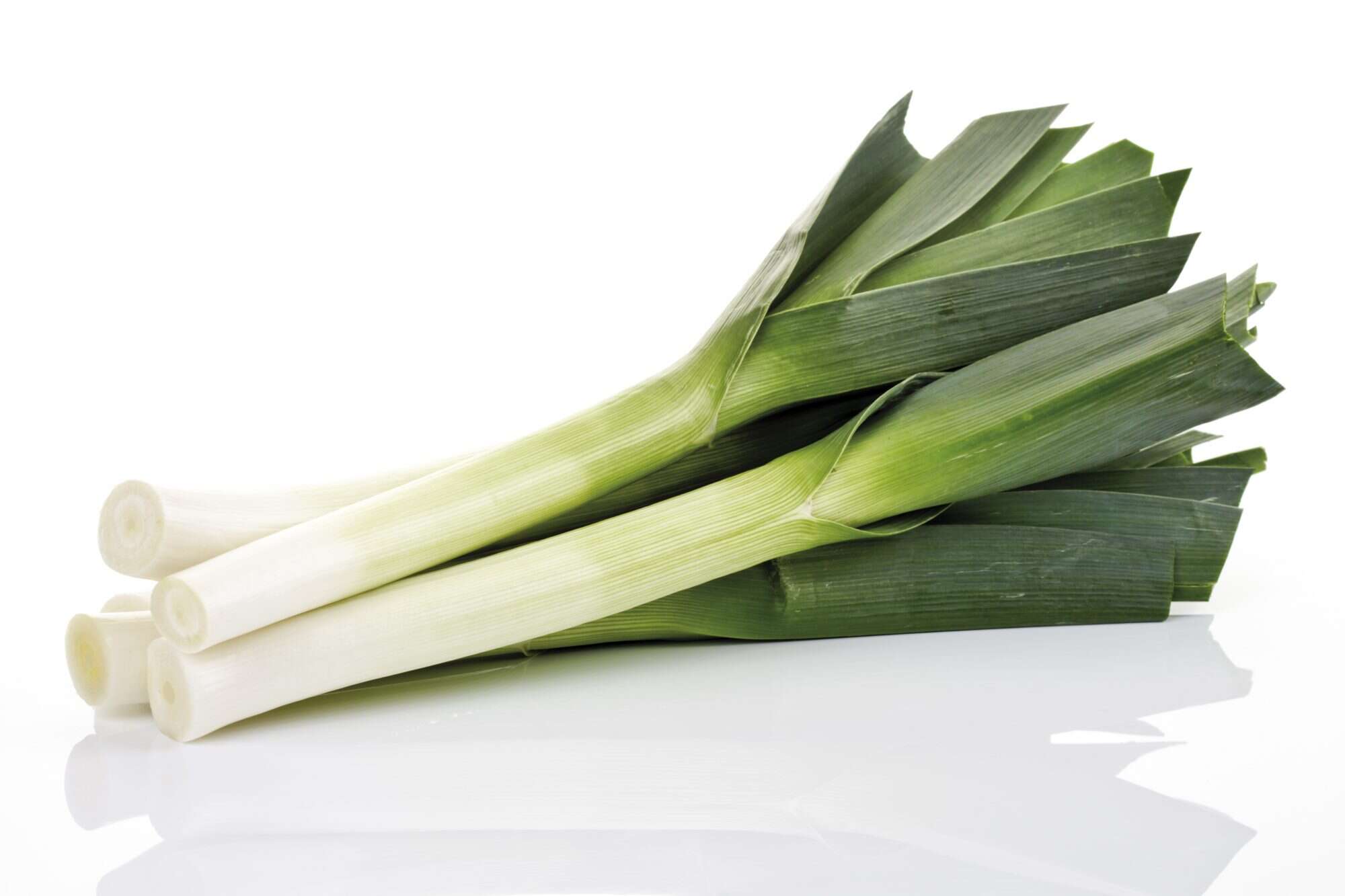 Leek