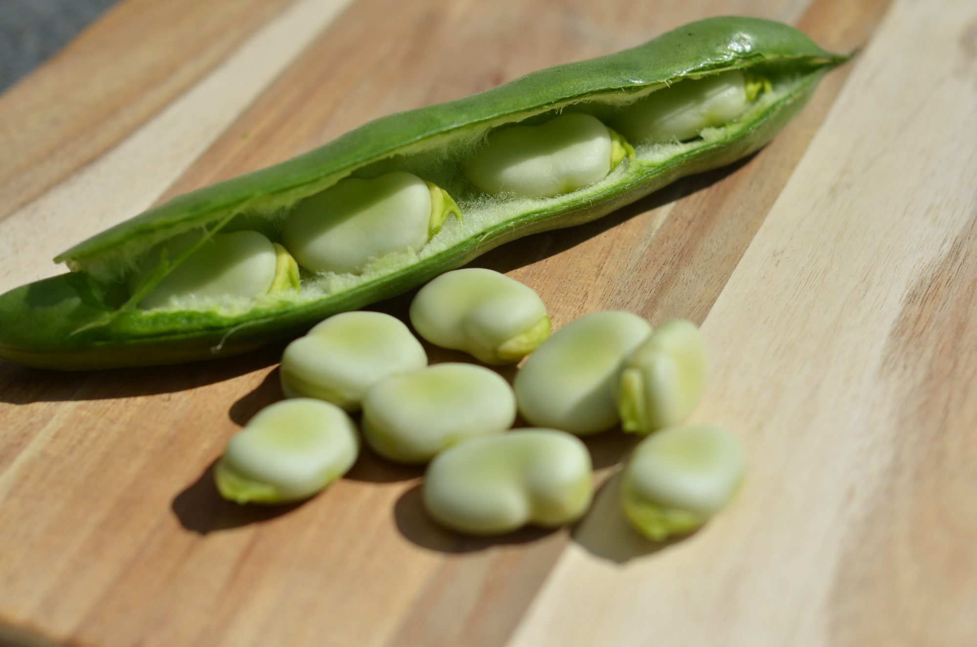 Fava beans with pod Getty 8/27/20