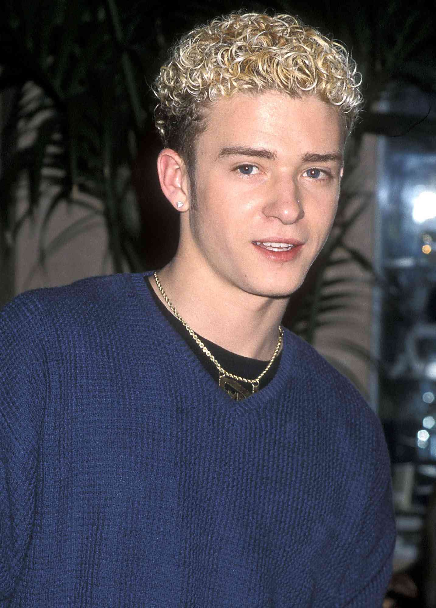 Dog Looks Like Justin Timberlake With New Haircut People Com