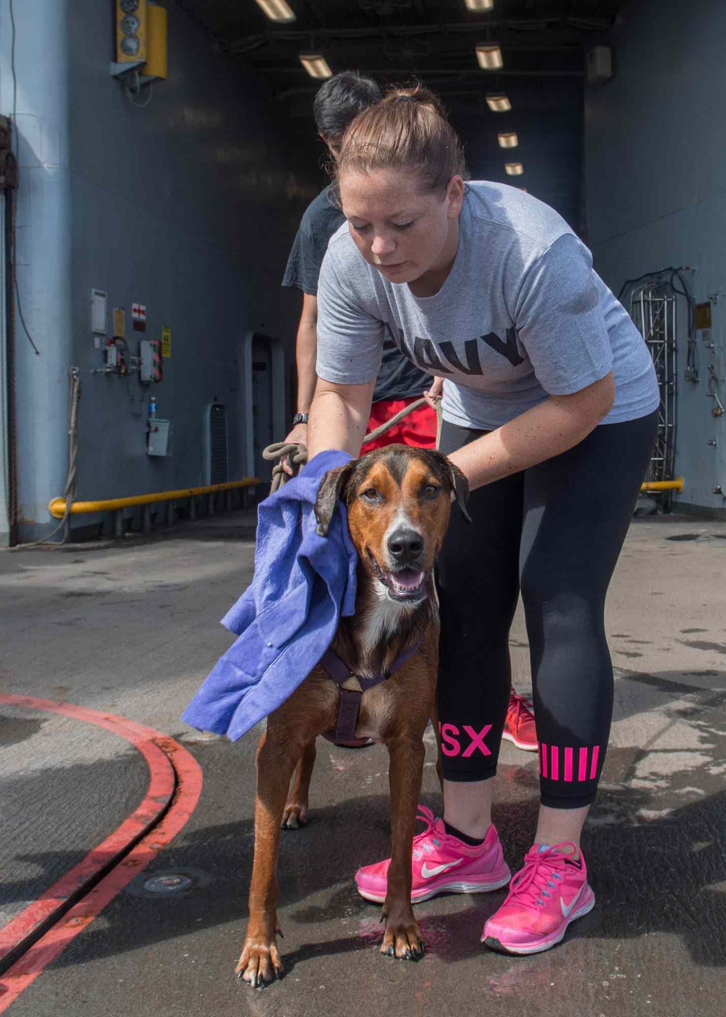 Dogs on USS Ashland