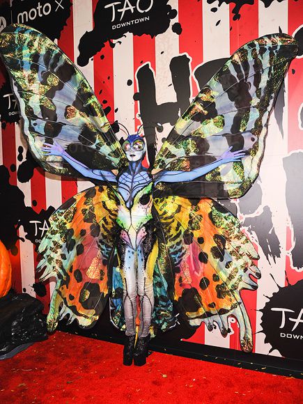 Heidi Klum's Halloween Costume in 2014: Butterfly