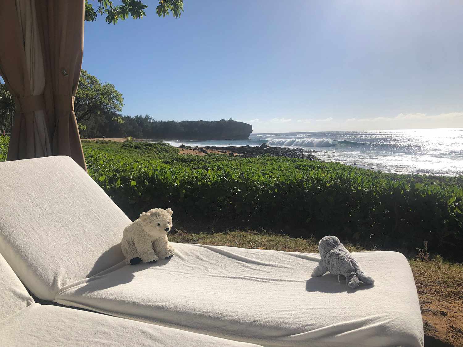 teddy-bear-hyatt-hawaii-1