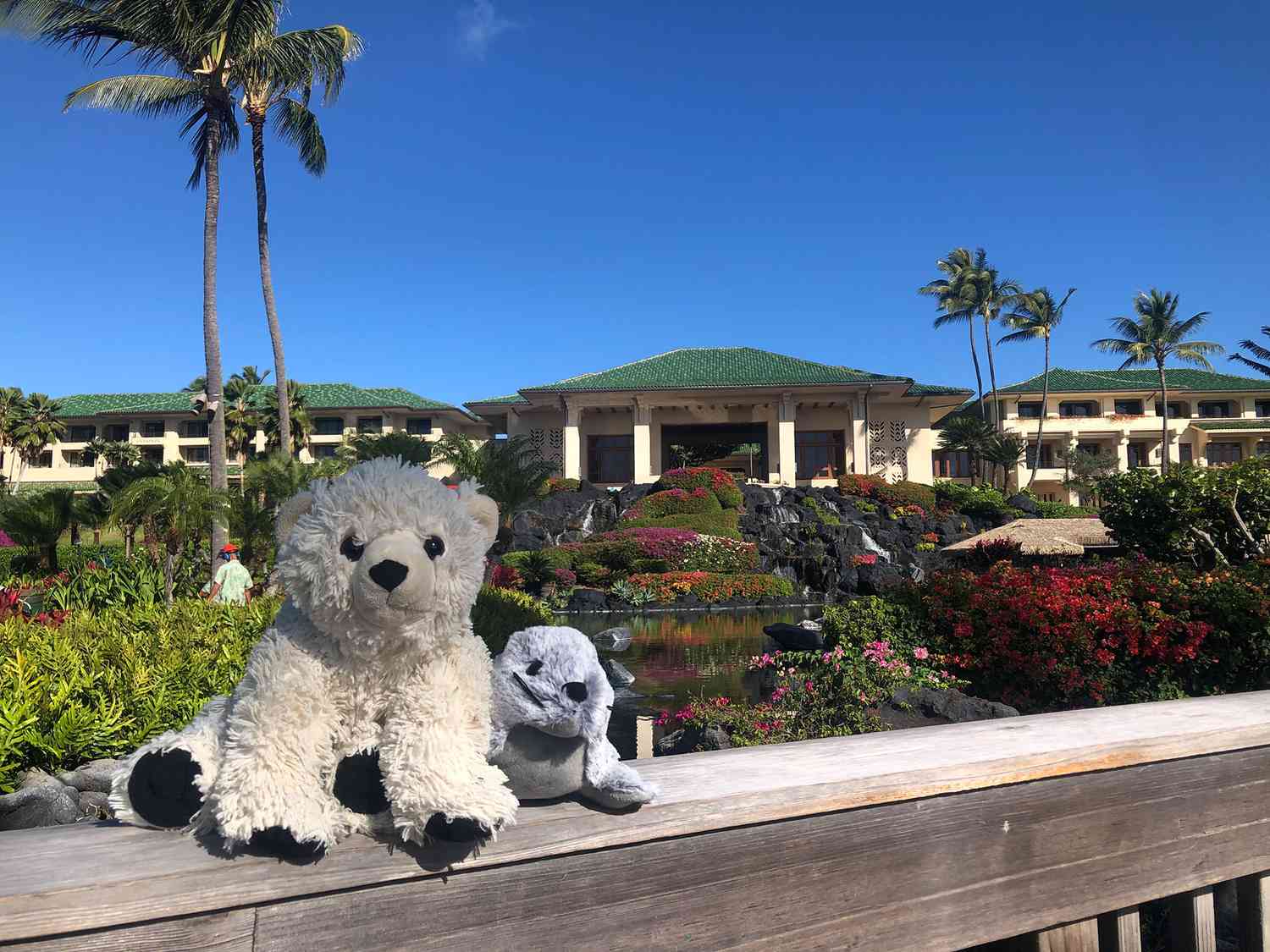 teddy-bear-hyatt-hawaii