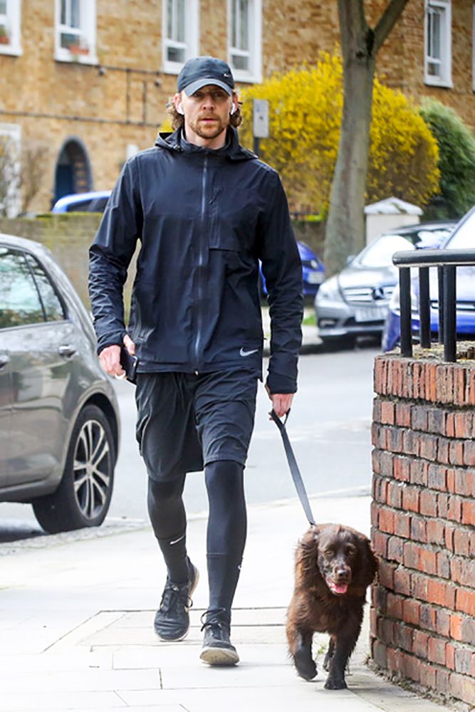 EXCLUSIVE: Tom Hiddleston was spotted out and about in London with his spaniel puppy, Bobby.