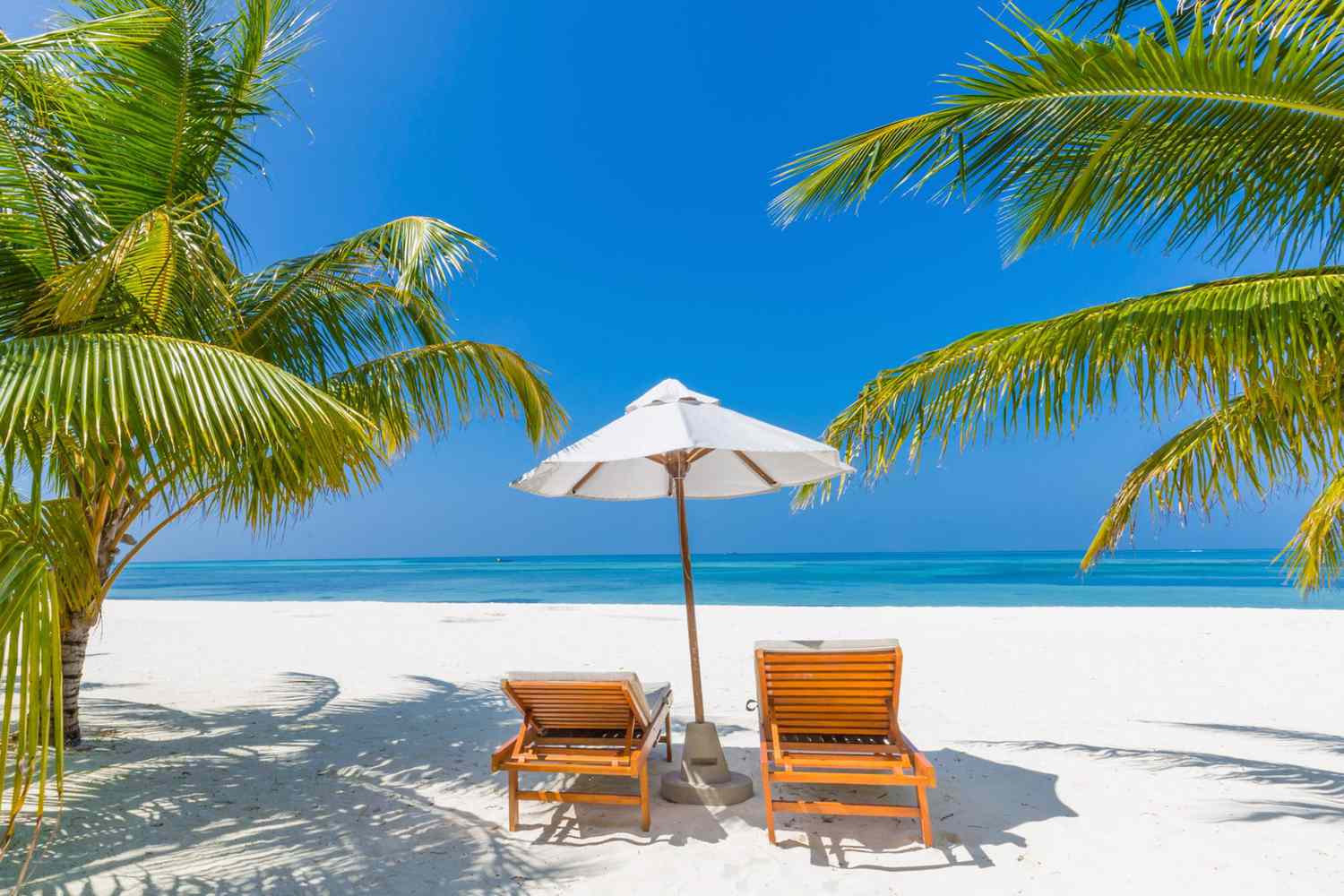 Fantastic beach landscape. Maldives beach scene with blue sky, white sand and palm trees