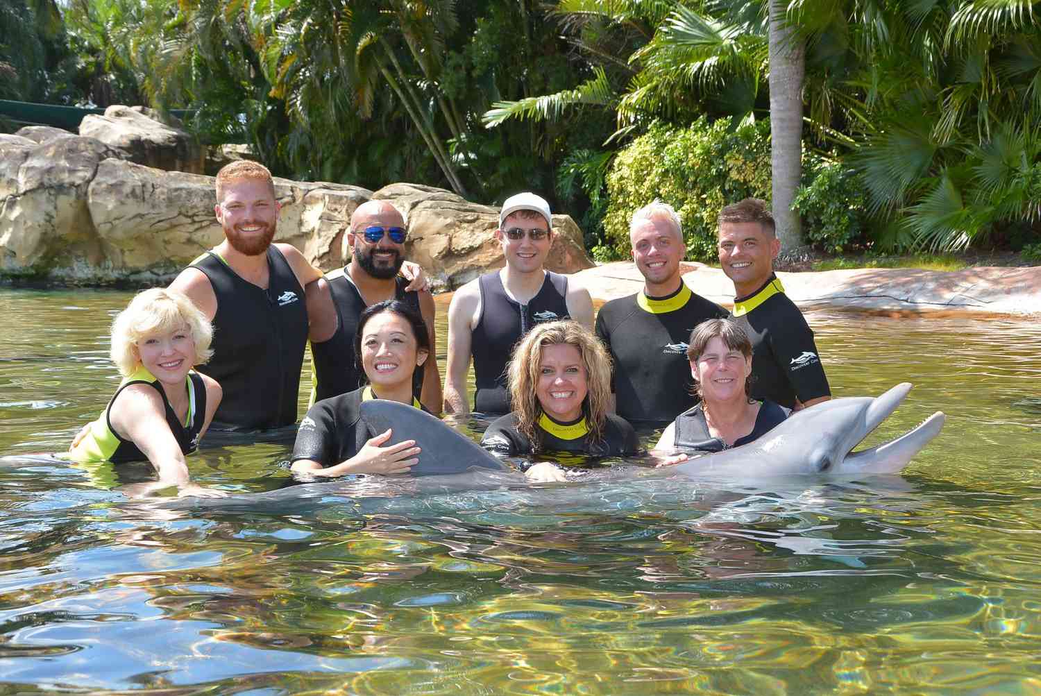Discoverycove