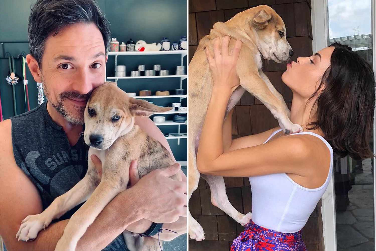 Jenna Dewan and Steve Kazee Celebrate 1-Year Anniversary of Adopting Their Dog