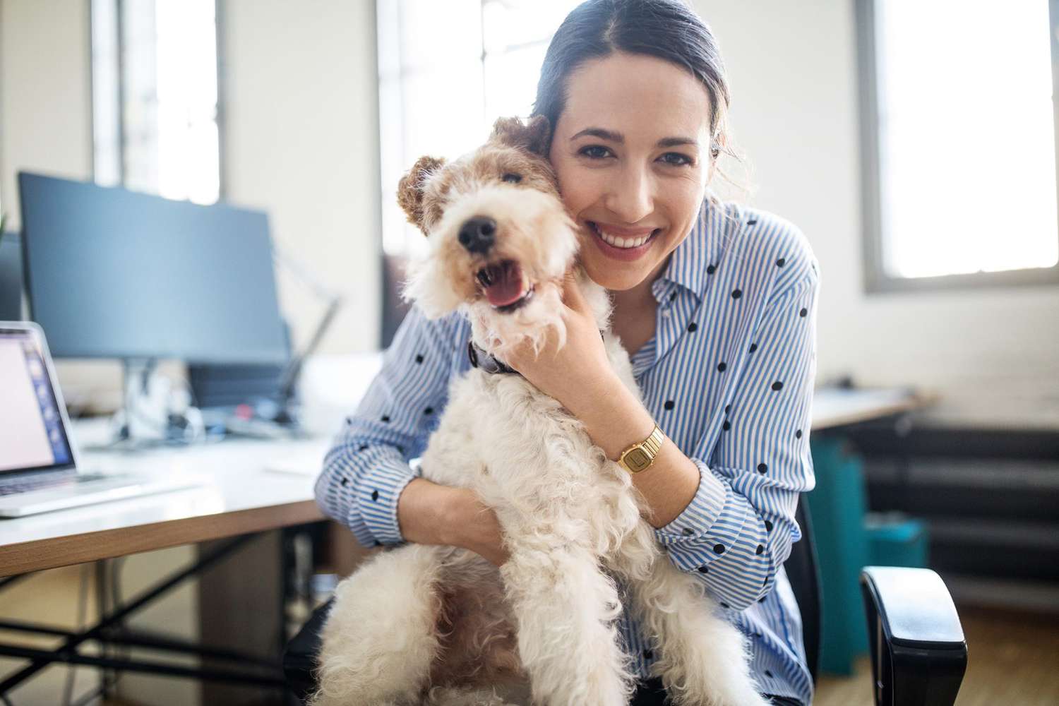 Portrait of smiling beautiful female entrepreneur sitting with fox terrier on chair at creative office