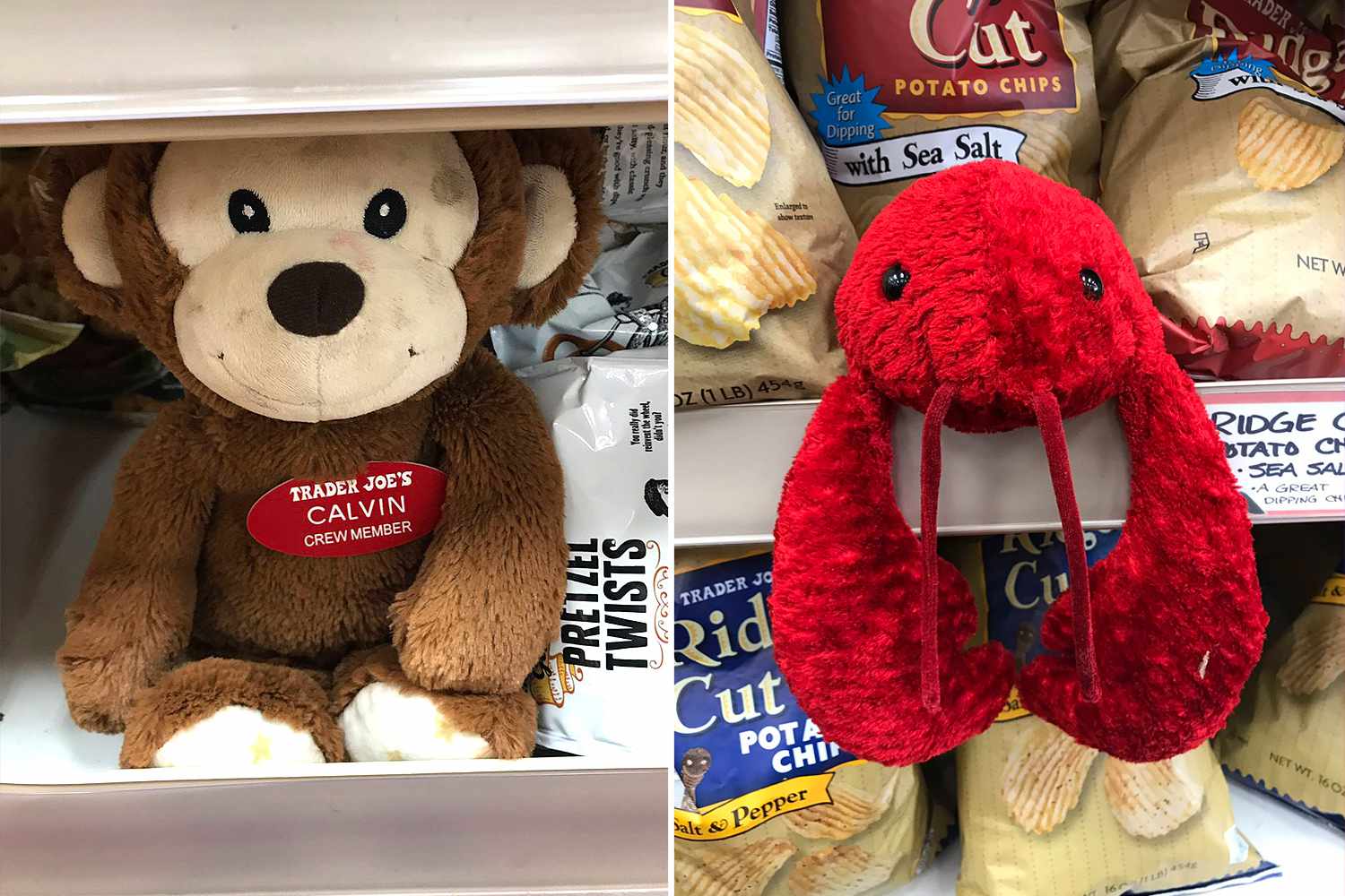 7" Mini Birth of Life Monkey Stuffed Animals Kids Plush Soft Toy Gift Prizes 