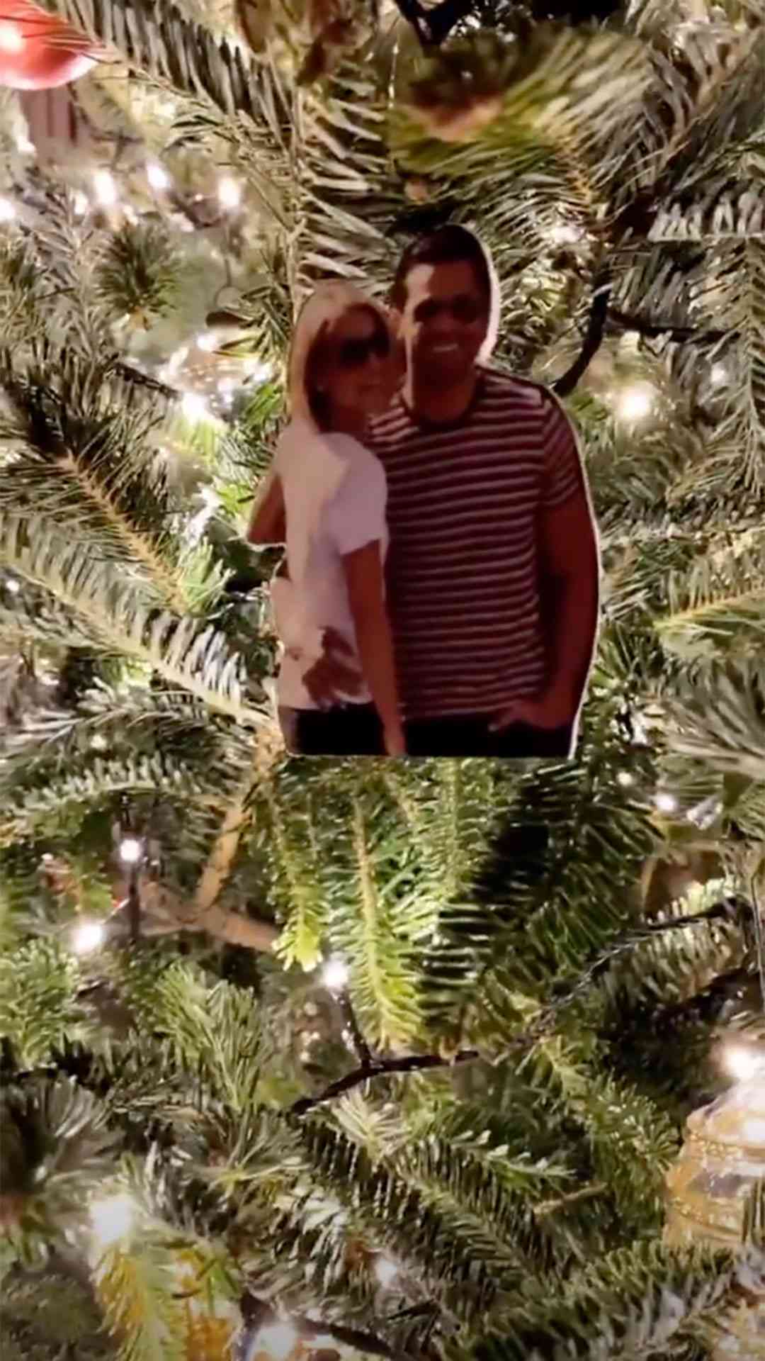 Kelly Ripa Christmas Tree Family Ornaments
