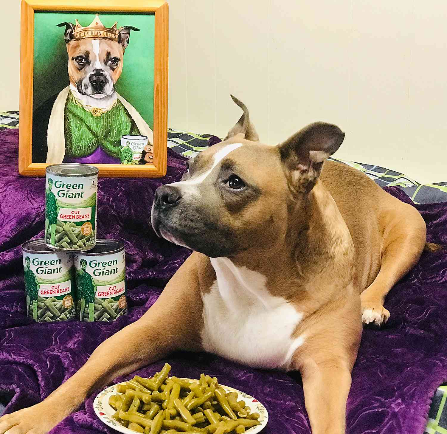 Green Bean Queen Dog