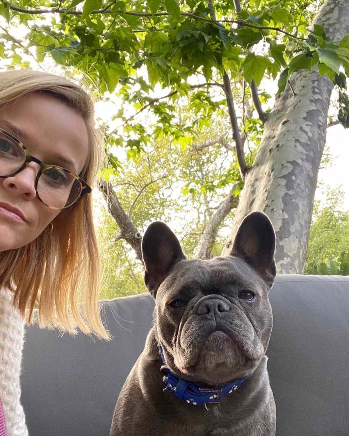 Reese Witherspoon's Dog Pepper