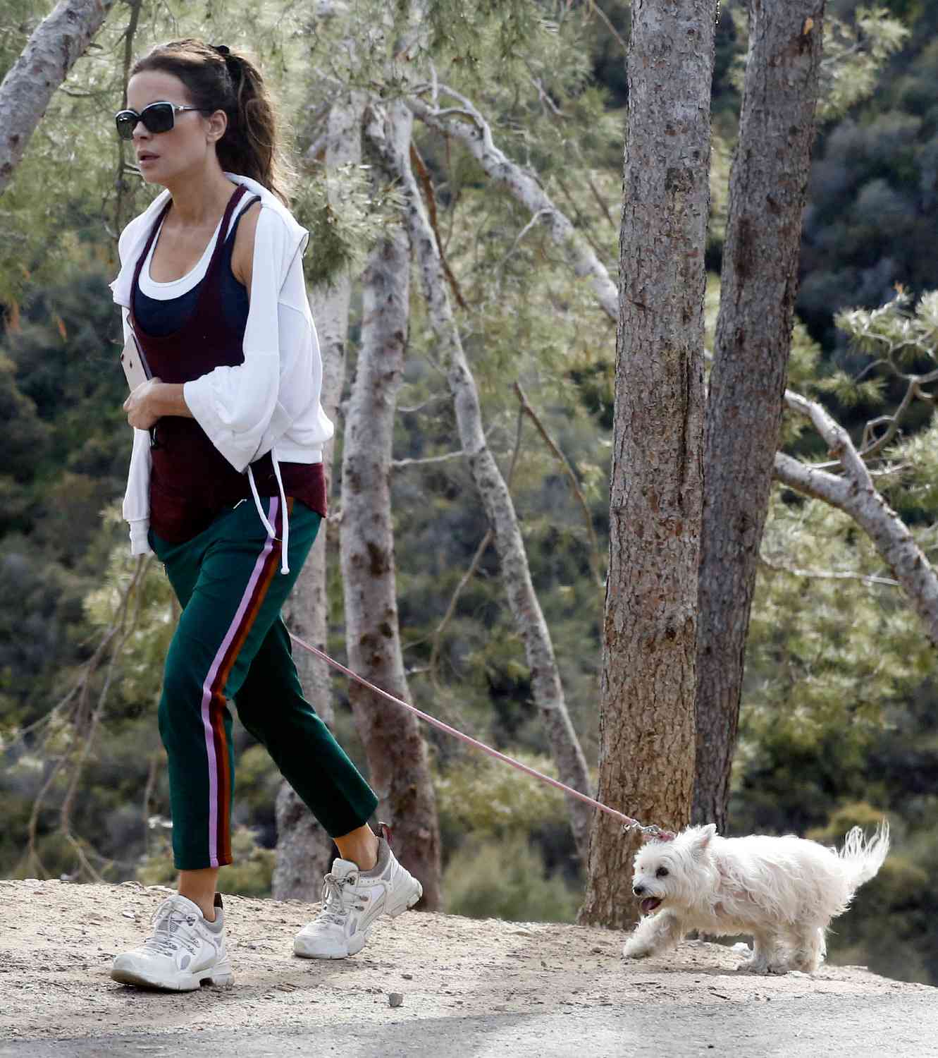 Kate Beckinsale takes her dog for a walk with male friend amid corona virus lockdown in Los Angeles