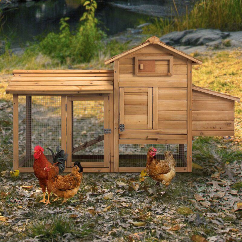 Chicken Coops Are Selling Out on Amazon &mdash; Here's Where They're Still in Stock