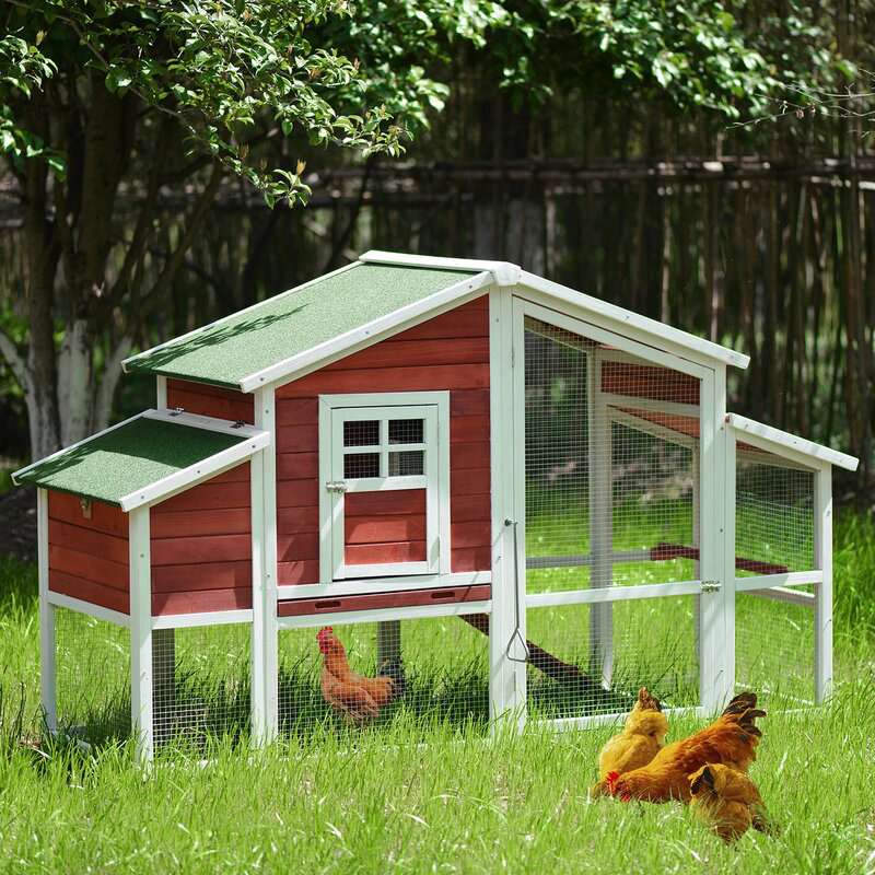 Chicken Coops Are Selling Out on Amazon &mdash; Here's Where They're Still in Stock