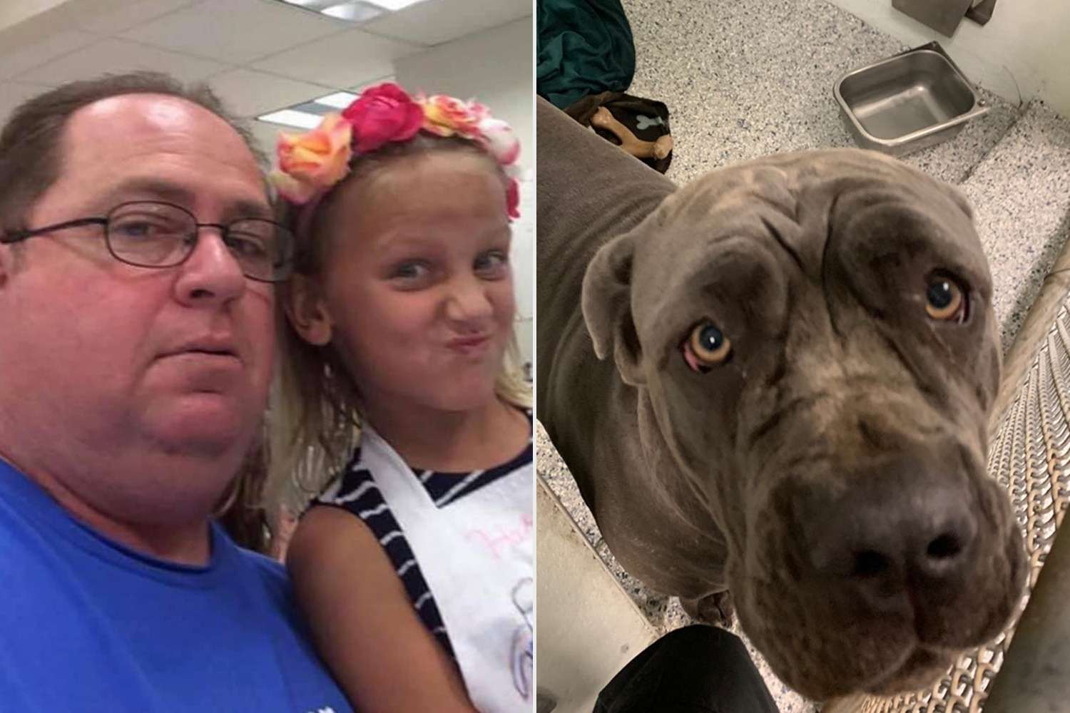 Dog Euthanized After Owner Killed A Dad And Daughter People Com