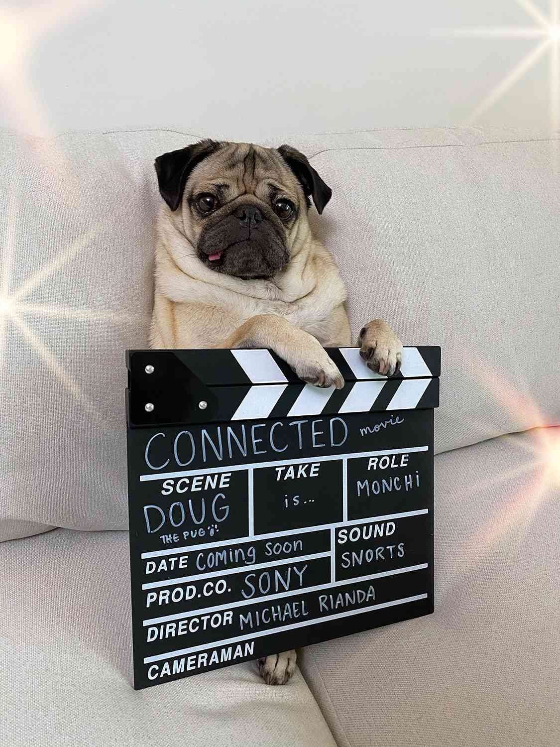 doug the pug movie role