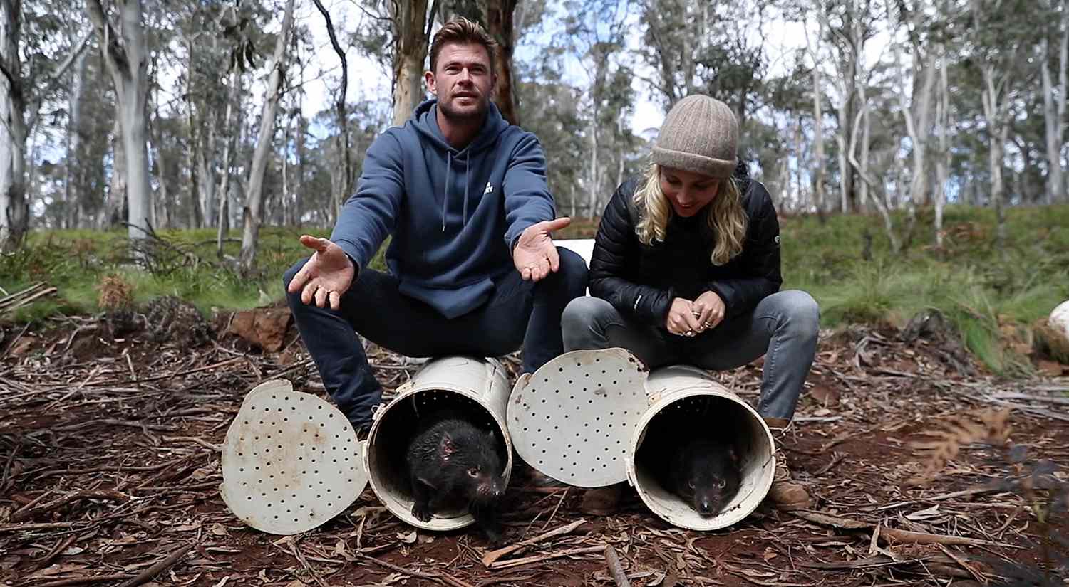 Tasmanian devil release, Chris Hemsworth, Elsa Hosk