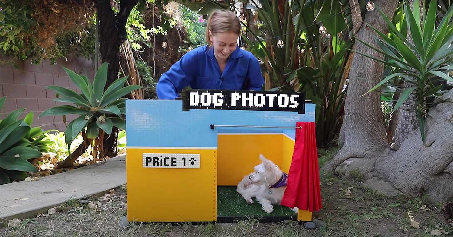 dog photo booth
