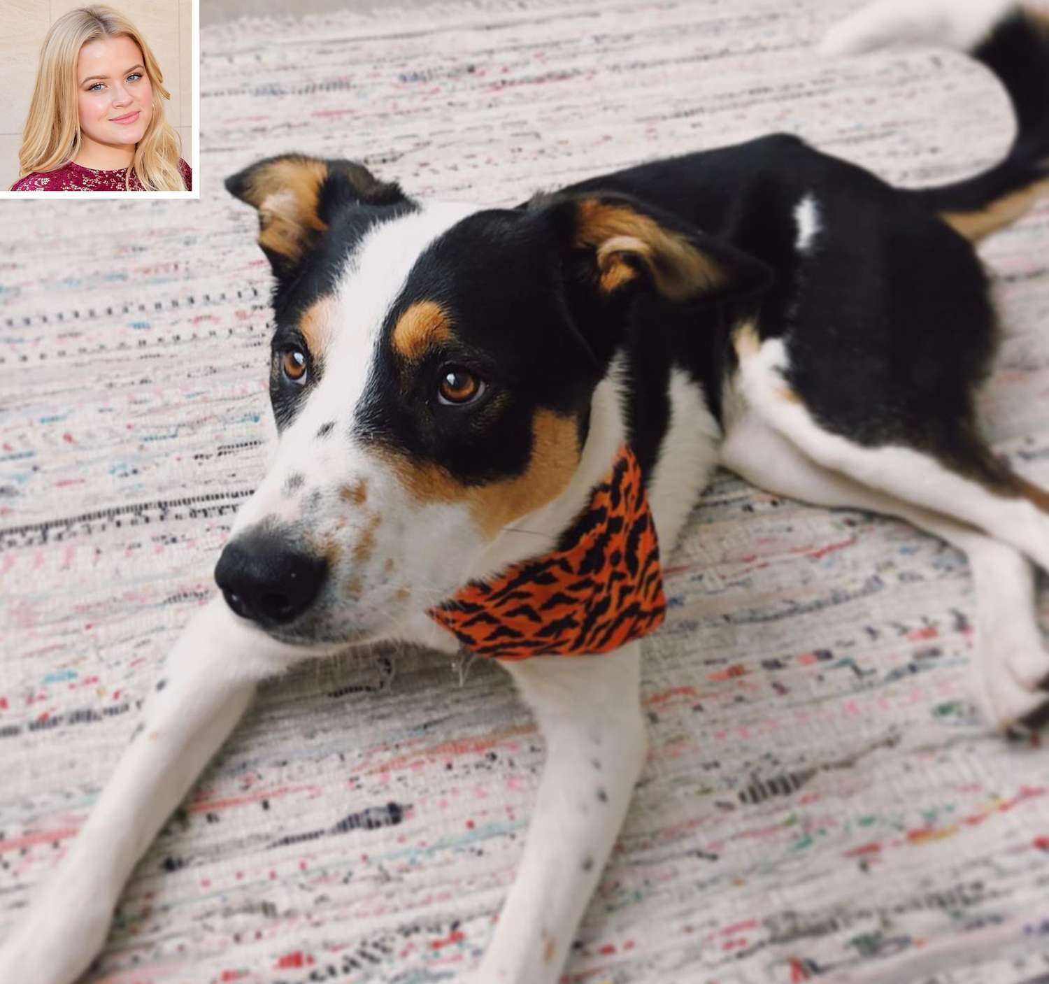 Reese Witherspoon's dochter Ava Phillippe introduceert haar nieuwe hond na rouw om dood van familie hond