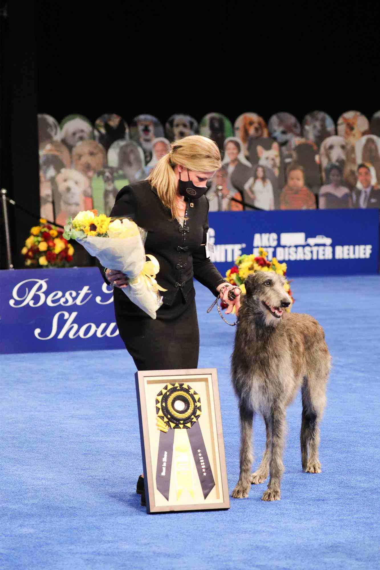THE NATIONAL DOG SHOW