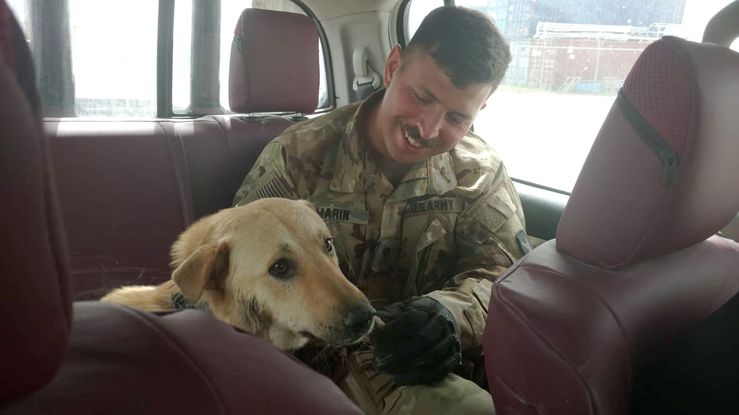 man reunited with dog