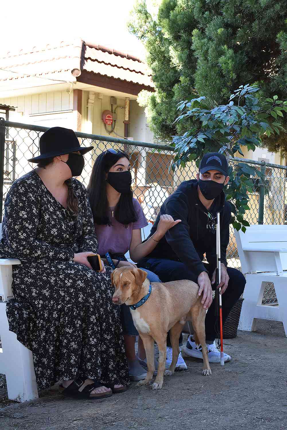 blind dog rescued