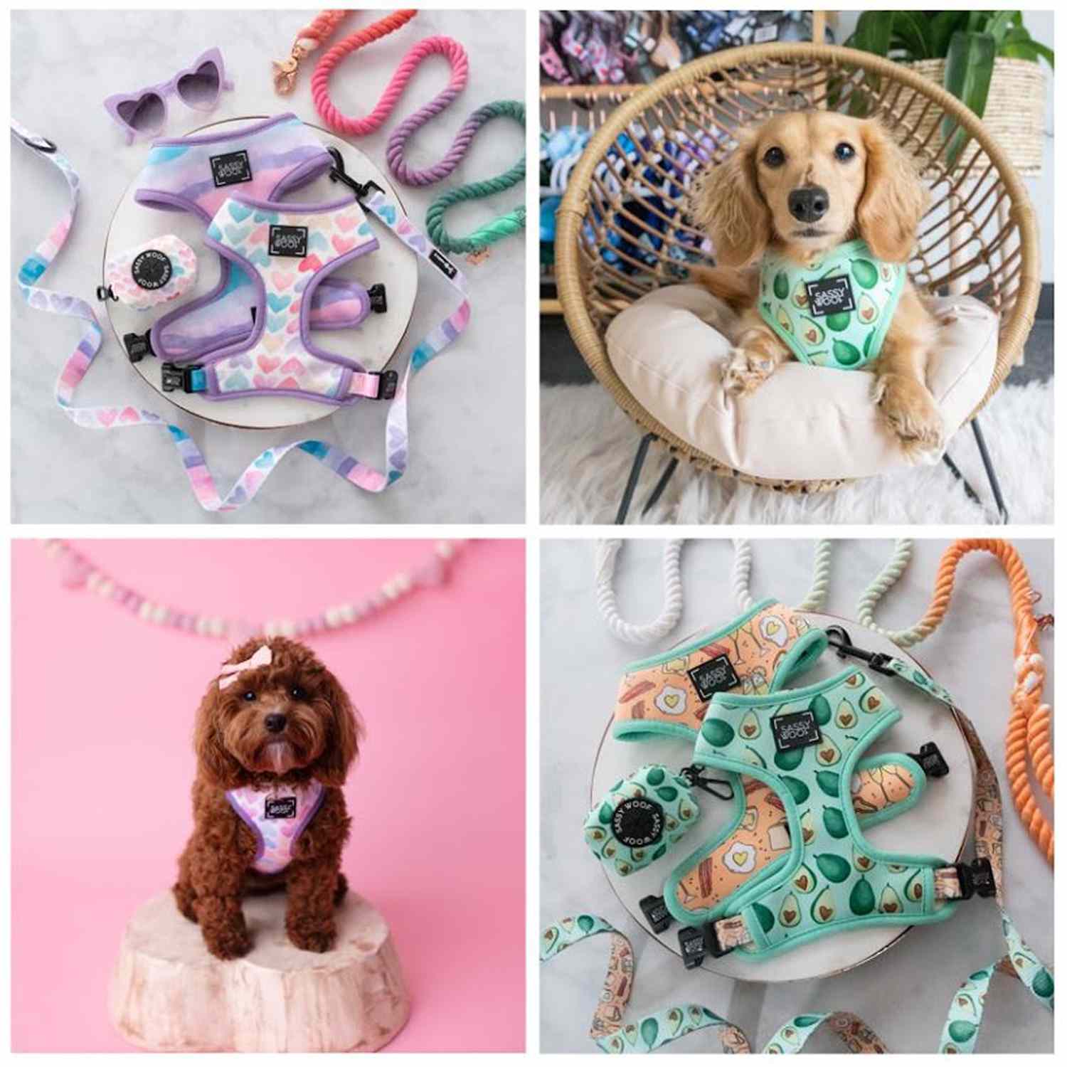 Pets Valentine's Day Gift Guide